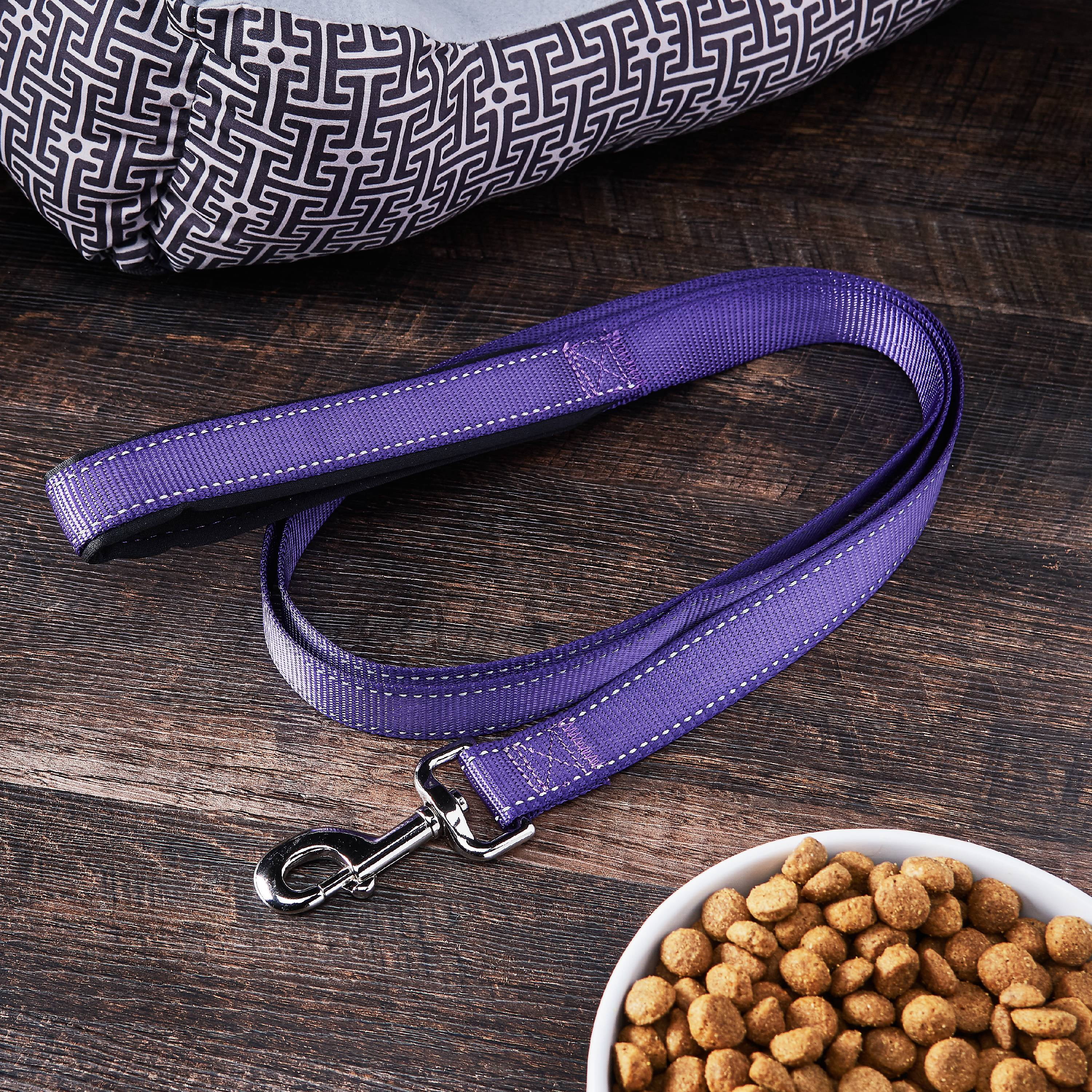 Vibrant Life Reflective Comfort Dog Leash, Purple, 6-ft, 1-in