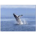 thumbnail image 1 of Whale Ceramic Tile Mural Kitchen Backsplash Bathroom Shower 403086-L43, 1 of 3