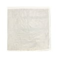 thumbnail image 2 of Fruit Fly Net Insect mesh Vegetable Garden Plant Crop Protection Cover Bags, 2 of 11