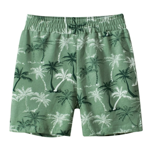 Coerni New Born Shorts Boys Summer Toddler Boys Shorts Coconut Tree Prints Shorts Casual Outwear Toddler Boys Swim Trunks 4t