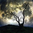 thumbnail image 5 of Tapiz de luna Tapiz de galaxia Tapiz de árbol Tapiz de cielo estrellado Tapiz de arte psicodélico místico Tapiz para colgar en la pared para decoración del hogar (H59.1x; W78.7 pulgadas) BANYUO Electrónica, 5 of 5