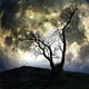 thumbnail image 5 of Tapiz de luna Tapiz de galaxia Tapiz de árbol Tapiz de cielo estrellado Tapiz de arte psicodélico místico Tapiz para colgar en la pared para decoración del hogar (51.2 x 59.1 pulgadas de alto) Sailing Electrónica, 5 of 5