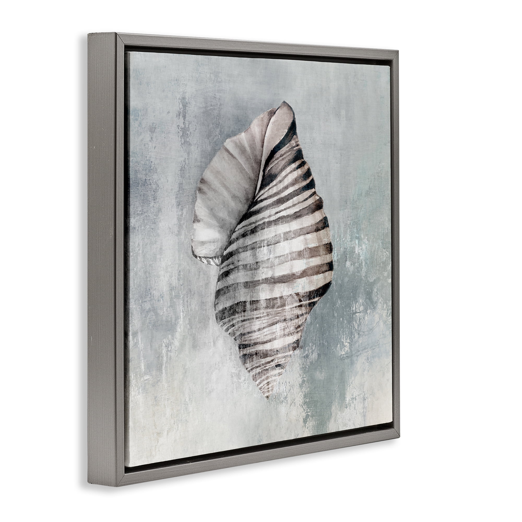 Stupell Industries Organic Twisted Seashell Nautical & Beach Painting Gray Floater Framed Canvas Art Print Wall Art, 25 x 25