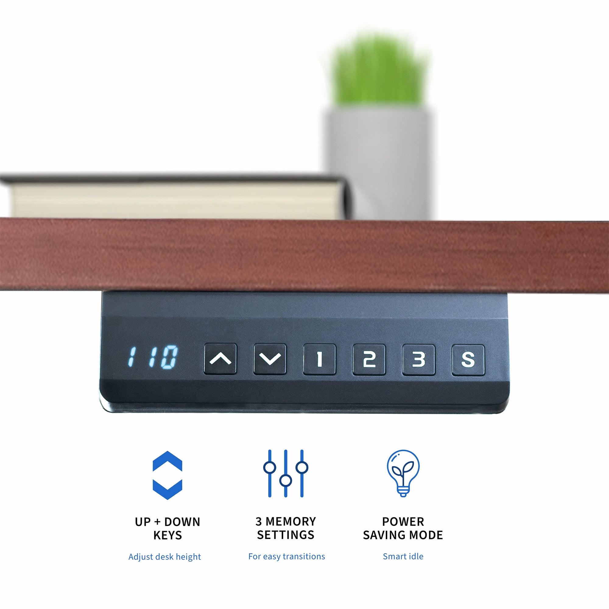 VIVO Electric Dual Motor 71” x 36” Standing Desk, Dark Walnut Top, Black Frame