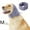 Purple, variant on Happy Hoodie The Original Calming Band for Dogs & Cats - for Anxiety Relief & Calming Dogs – Noise Canceling for Dogs - The Force Drying & Grooming Miracle Tool