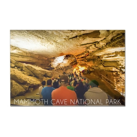 Mammoth Cave, Kentucky - Tour - Lantern Press Photography (12x8 Acrylic Wall Art Gallery