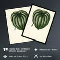 thumbnail image 2 of Vintage Botanical Pepper Elder Leaf Fawcett Framed Wall Art Print 12X16", 2 of 4