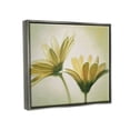 thumbnail image 4 of Stupell Industries Two Daisies Painting Botanical & Floral Painting Gray Floater Framed Canvas Art Print Wall Art, 21 x 17, 4 of 10