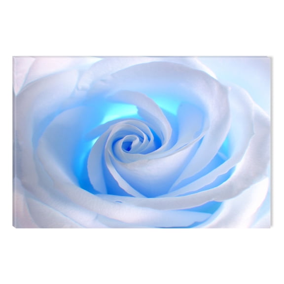 Startonight Canvas Wall Art White Rose Abstract Flower, Dual View Surprise Artwork Modern Framed Ready to Hang Wall Art 100% Original Art Painting 23.62 X 35.43 inch