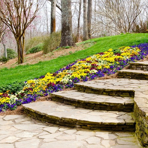 Sunbloom Border Flower Pre Seeded Mat Walmart Com