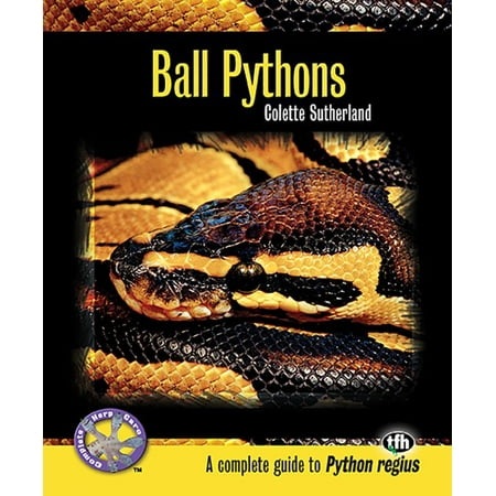 Ball Pythons (Best Ball Python Setup)