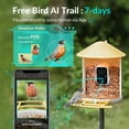 thumbnail image 4 of Bird Feeder Camera Outdoor Feeder Bird, Netvue Birdfy Bird Watching with Camera for Bird Lover, Mother and Father, Yellow (AI by Subscription), 4 of 10