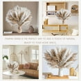thumbnail image 4 of Pampas Grass Decor dreid Flowers Fluffy pompas Grass vase Filler White Pampas Wedding Boho deocr, 4 of 6