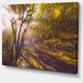 thumbnail image 2 of Bicycle Ride in Fall Forest - Landscape Canvas Art Print, 2 of 4