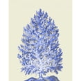 thumbnail image 3 of Fab Funky 12x14 Black Modern Framed Museum Art Print Titled - Blue Corals d, 3 of 5
