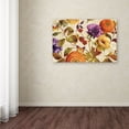 thumbnail image 3 of Trademark Fine Art "End of Summer I" Canvas Art by Lisa Audit, 3 of 3
