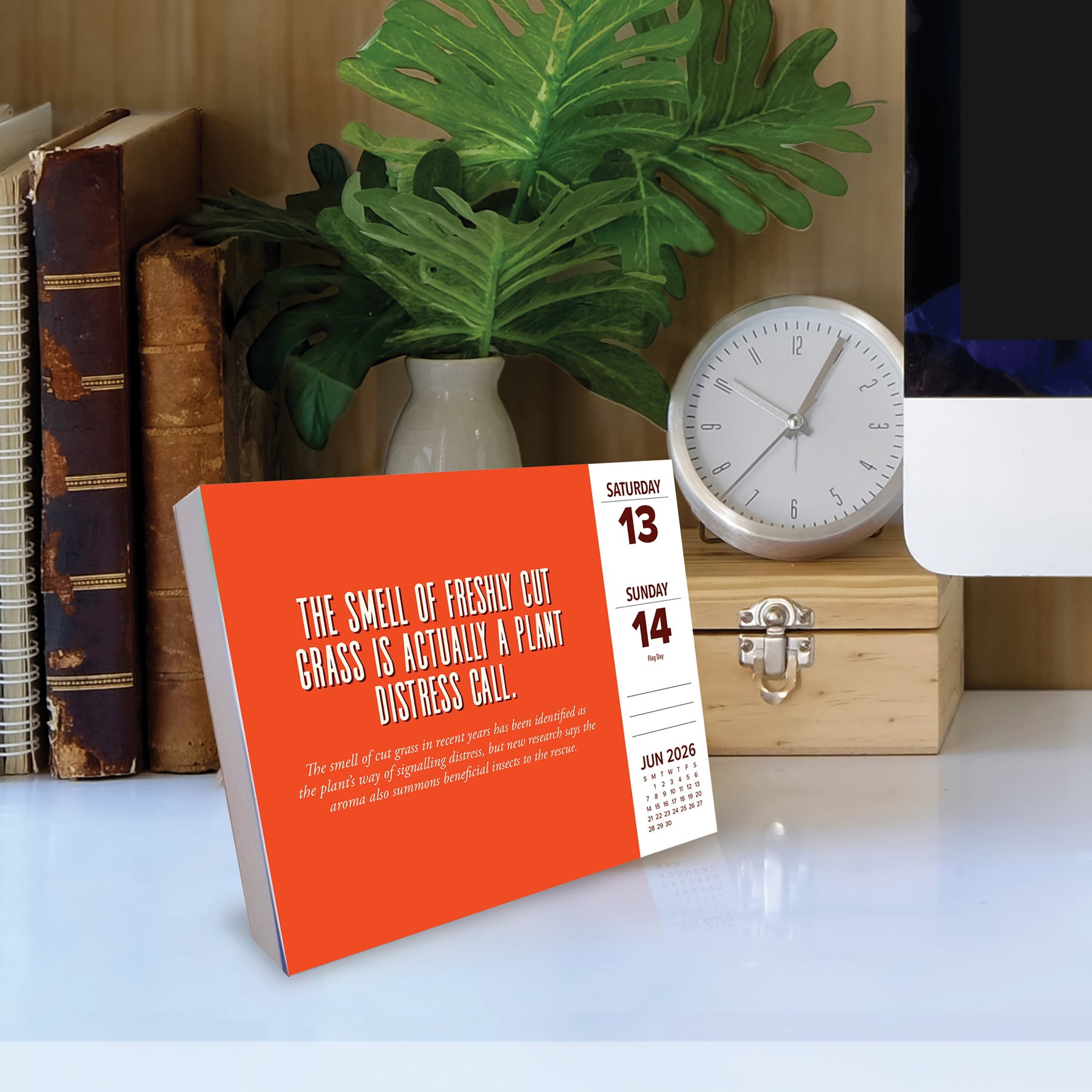 Gen Z Slang 2026 Box Calendar - Walmart.com