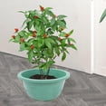 thumbnail image 5 of HOMEMAXS Round Flowerpot Large Flowerpot Gardening Plastic Plant Pot Orchid Plant Pot, 5 of 8