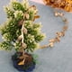 thumbnail image 2 of Hojas de vid artificiales de hoja natural de 10 m, decoración de boda, follaje dorado y plateado, 2 of 7