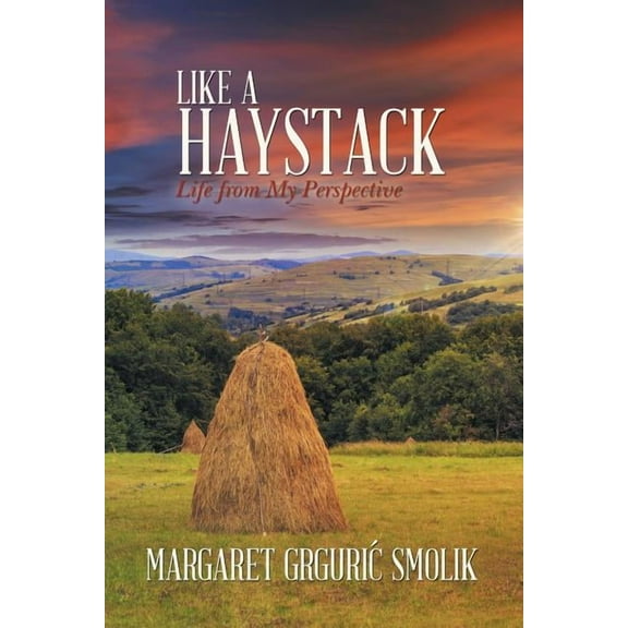 Like a Haystack: Life from My Perspective (Paperback)