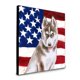 thumbnail image 1 of "Treasures Siberian Husky Gray Patriotic Panel decoración de pared, multicolor" Caroline's Treasures BB9696UP88, 1 of 1