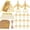 Airplane Gold, variant on 24 Pack Palm Tree Bottle Opener Party Favors for Beach Wedding (Palm) | Complete Favor Set, Reusable, Durable Zinc Alloy, Gift Ready, Beach Wedding, Tropical Theme