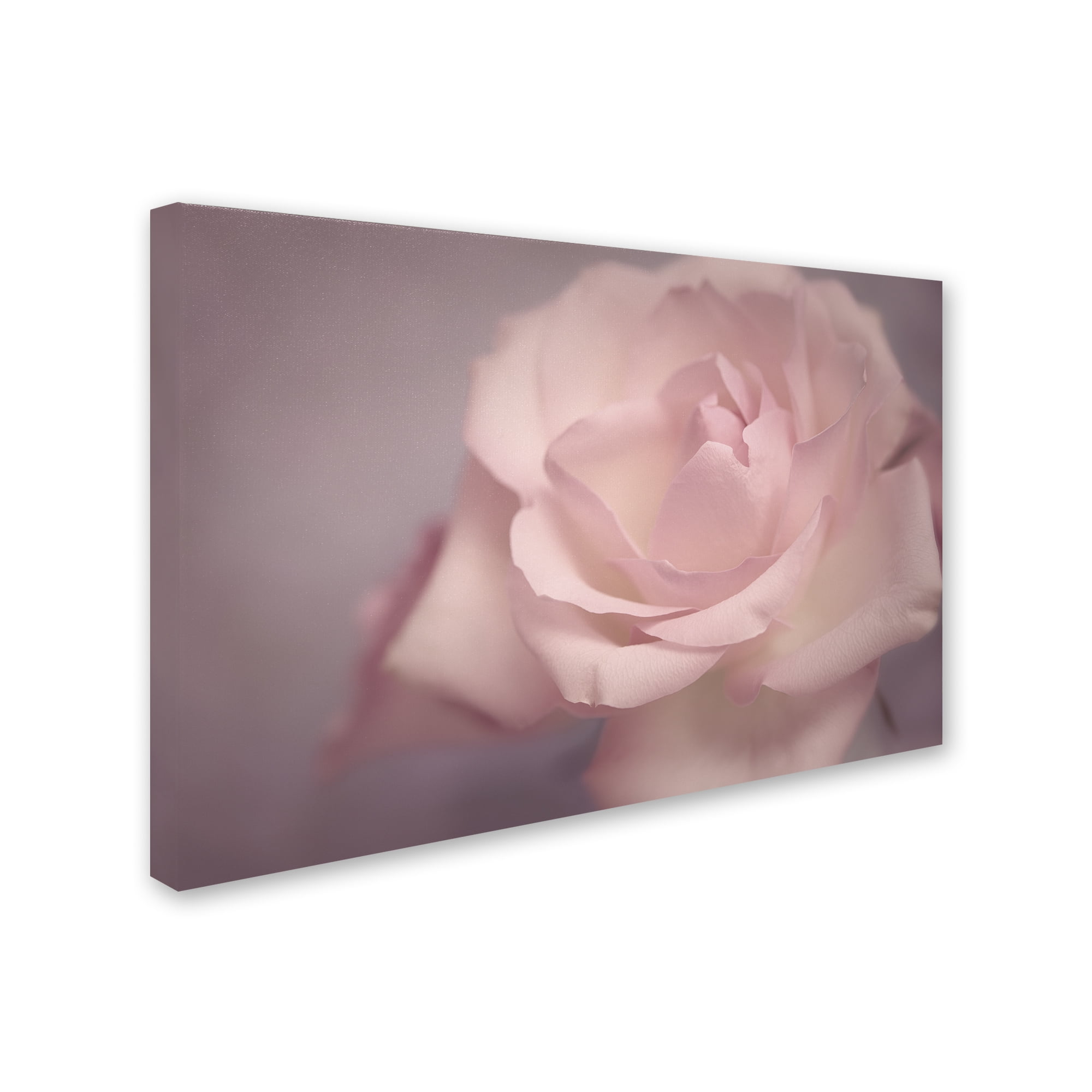 Tenderness' Canvas Art by Cora Niele