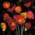 thumbnail image 3 of Seba, John 15x15 Black Modern Framed Museum Art Print Titled - Poppy Bouquet II, 3 of 5