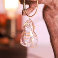 thumbnail image 4 of Keychains: Cat Hair Memorial Keychain - Clear Keepsake Pendant for Storing Pet Hair, Cute Kitty Lover Gift (Style 4), 4 of 7