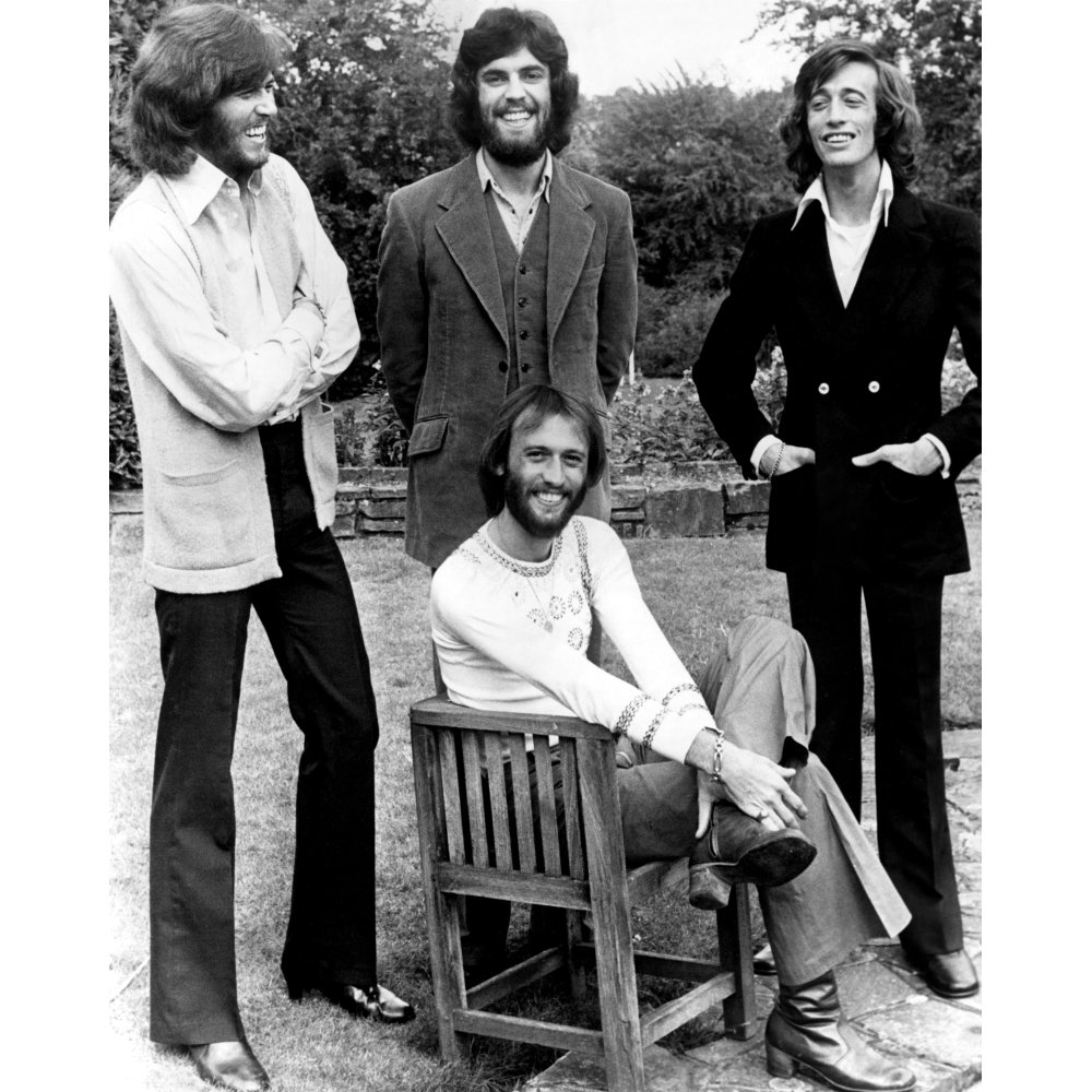 Bee Gees History (18 x 24)