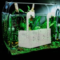 CATIEBYE Acrylic Fish Isolation Box for Aquarium with Separate Compartments to Improve Fish Survival Rates