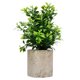 thumbnail image 1 of Simulación de 1pc de la planta verde Simulación de decoración del hogar de la planta en maceta, 1 of 5