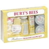 Burts Bees Burts Bees Radiance Healthy Glow Kit, 1 ea