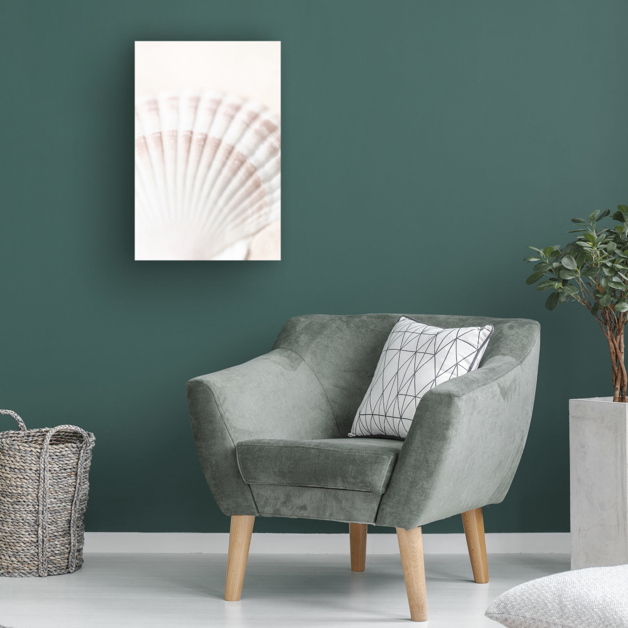 Trademark Fine Art Pictufy Studio Shell Canvas Wall Art