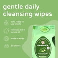 thumbnail image 2 of PB & JAY Cleancare Cleansing Wipes – 30 Count – Makeup Remover for Cooling Hydration & Comfort – Hydrating Korean Face Wipes for Sensitive Skin (Cucumber), 2 of 4