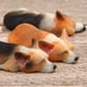 thumbnail image 4 of Terrarios de perro Corgi en miniatura, hadas, musgo, adorno de jardín, figura, planta 9, 4 of 9