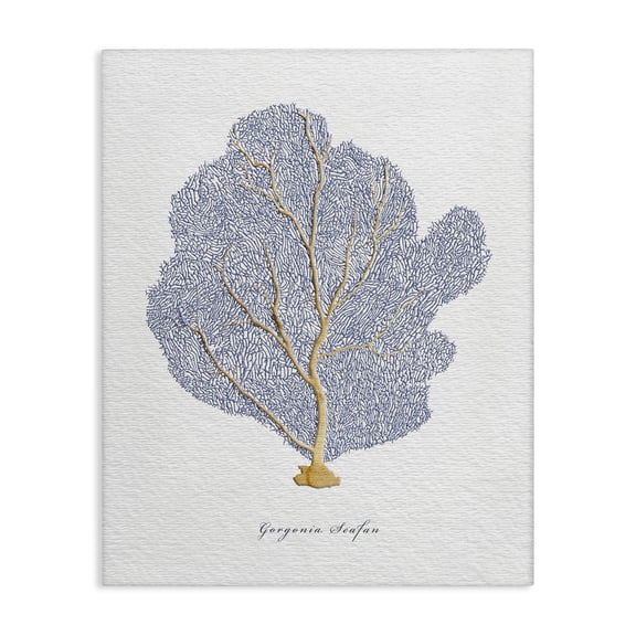 Stupell Industries Traditional Sea Life Seafan Watercolor Canvas Art, 24 x 30, by Ziwei Li