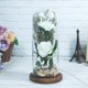 thumbnail image 4 of Regalo navideño para mujeres: rosas brillantes con cúpula de cristal, 4 of 5