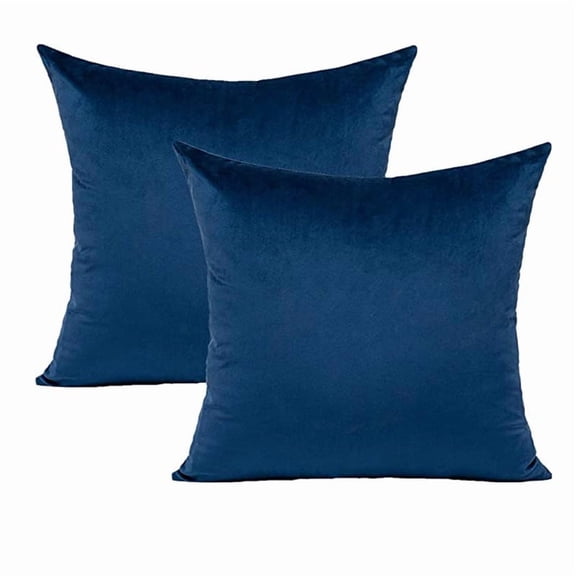 Dtwnek Pack of 2 Decorative Pillow Cases Soft Velvet Square Throw Pillow Covers for Living Room, Bedroom, Office, 24" x 24"