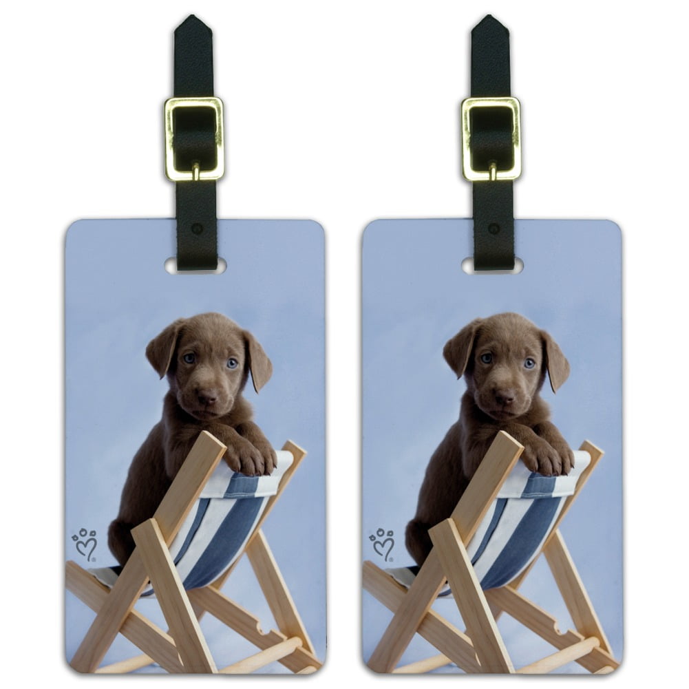 Lab Labrador Puppy Dog in Beach Lounger Chair Luggage ID Tags Suitcase