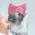 thumbnail image 3 of Reusable Pet Ear Hood for Dogs and Cats Bathing Shower Swimming Grooming Care, 3 of 5