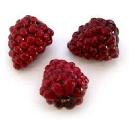 Raspberry, Artificial Fruit Fake Food, Bag of 24, realistic look By