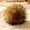 Brown*9, variant on Rabbit Hair Cat Toy Ball with Catnip Soft Plush Cat Ball Washable Durable Interactive Cat Toy for Kittens & Adult Cats Indoor Exercise & Play 8cm 20g
