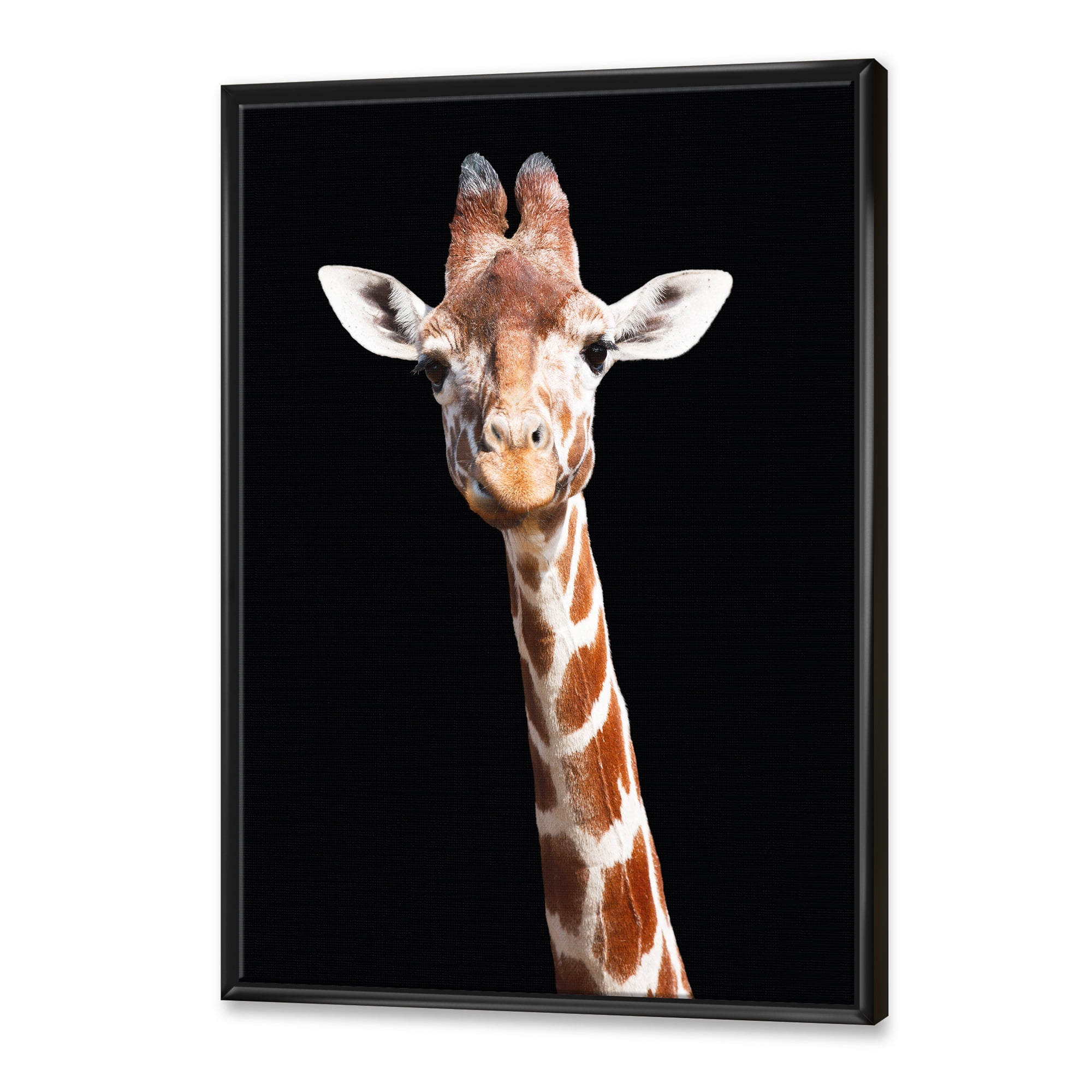Close Up Portrait Of A Giraffe On Black V 12 in x 20 in Framed Painting Canvas Art Print, by Designart