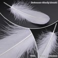 thumbnail image 3 of 400PCS White Feathers 3-7inch, 4 Styles Assorted Feathers for Wedding Halloween Costume Dream Catcher Party Decorations Supplies DIY Crafts, 3 of 7