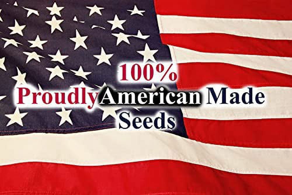 Set of 43 Assorted Vegetable & Herb Seeds - 43 Varieties