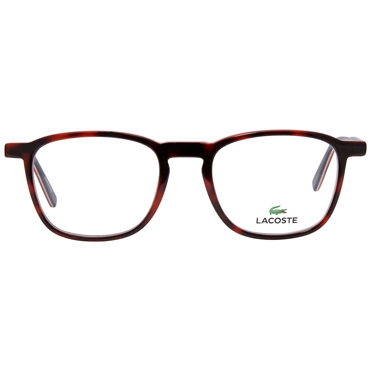 Lacoste Eyeglasses L2900 230 Havana 55/17/140 - NWT Lacoste L2904 230 Dark Havana Eyeglasses | SmartBuyGlasses US main image 4