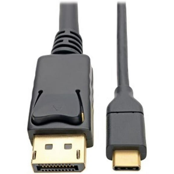 6 ft. 4K USB C to DisplayPort Adapter Converter Cable