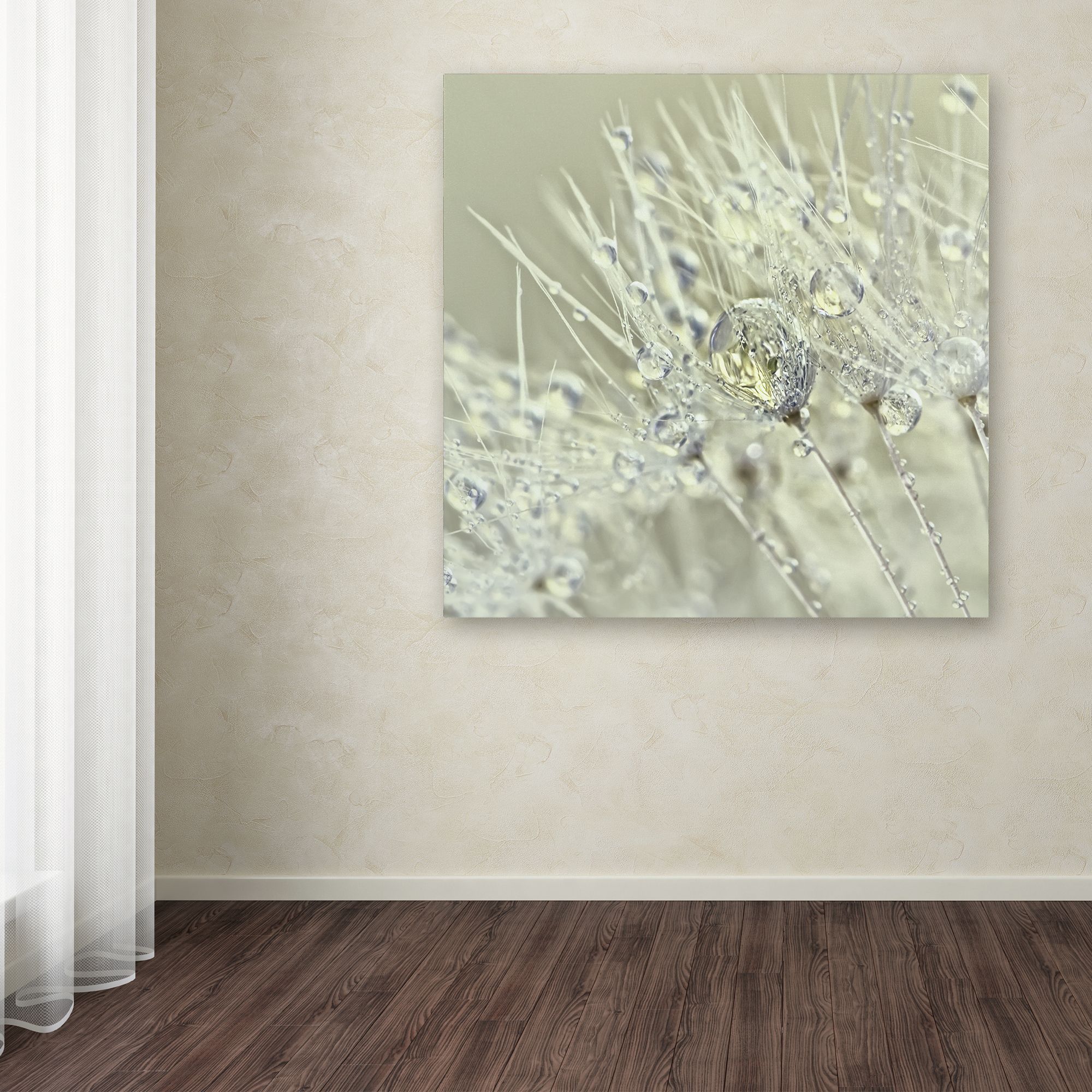 Trademark Fine Art 'Dandelion Dew III' Canvas Art by Cora Niele