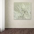 thumbnail image 4 of Trademark Fine Art 'Dandelion Dew III' Canvas Art by Cora Niele, 4 of 4